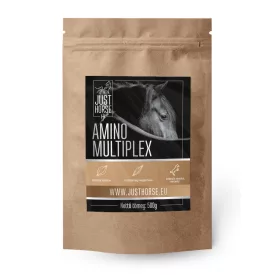 AMINO MULTIPLEX 500g