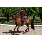 Dressage Saddle Pad Dark Bordeaux Full