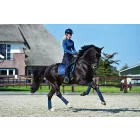 Dressage Saddle Pad Monaco Blue Full