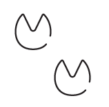 Pata