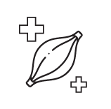 Támogatja az izomregenerációt és az immunrendszert