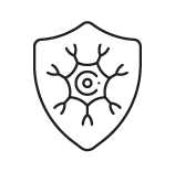 Hozzájárul a szövetek természetes regenerációjához